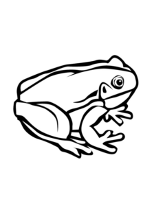 Disegno di rana da stampare e colorare 86