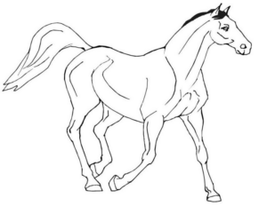 Disegno di cavallo da stampare e colorare 251