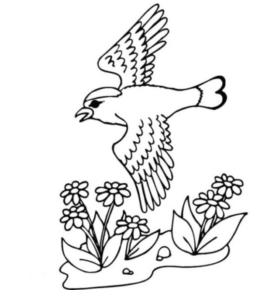 Disegno di uccello da stampare e colorare 107
