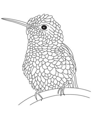 Disegno di uccello da stampare e colorare 84