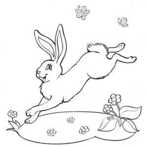 Disegno di coniglio da stampare e colorare 185