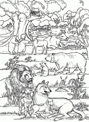 Disegno di leone da stampare e colorare 3