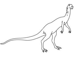 Disegno di Velociraptor da stampare e colorare 14