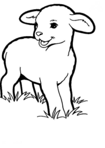 Disegno di pecora da stampare e colorare 70