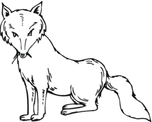 Disegno di volpe da stampare e colorare 53