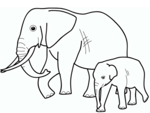 Disegno di elefante da stampare e colorare 124