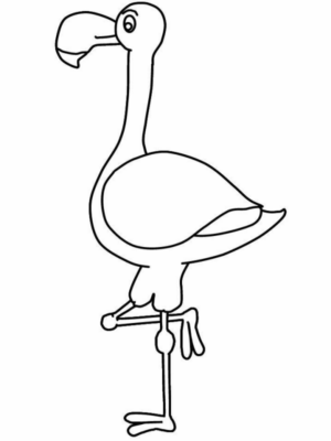 Disegno di fenicottero da stampare e colorare 9
