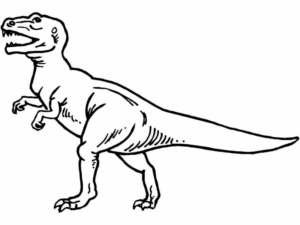 Disegno di Tirannosauro da stampare e colorare 94