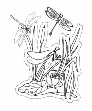Disegno di libellula da stampare e colorare 42