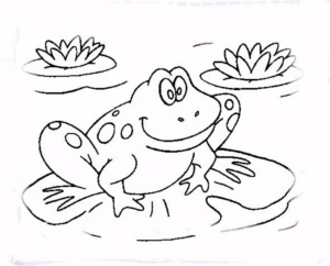 Disegno di rana da stampare e colorare 47