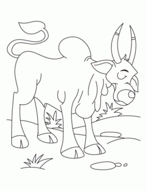 Disegno di toro da stampare e colorare 6