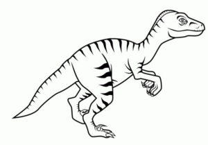 Disegno di Tirannosauro da stampare e colorare 51