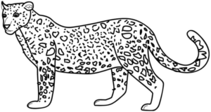 Disegno di leopardo da stampare e colorare 43