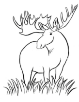 Disegni di Alci da colorare