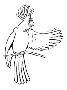 Disegno di pappagallo da stampare e colorare 81