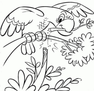 Disegno di pappagallo da stampare e colorare 168