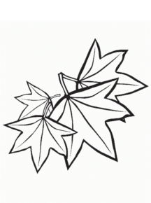 Disegno di foglia da stampare e colorare 97