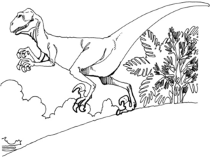 Disegno di Tirannosauro da stampare e colorare 59