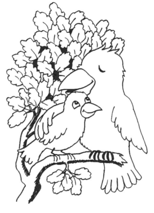 Disegno di uccello da stampare e colorare 81