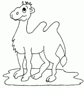 Disegno di cammello da stampare e colorare 22