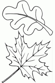 Disegno di foglia da stampare e colorare 95