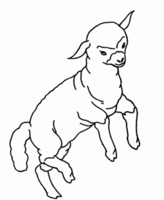 Disegno di pecora da stampare e colorare 29