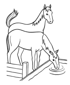 Disegno di cavallo da stampare e colorare 139