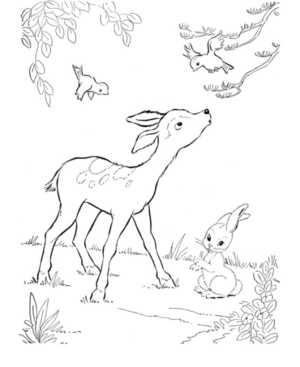 Disegno di Bambi da stampare e colorare 6
