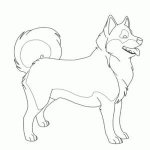 Disegno di lupo da stampare e colorare 27