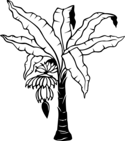 Disegno di pianta da stampare e colorare 14