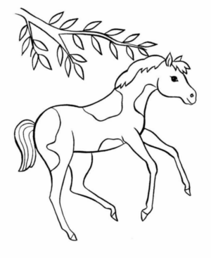 Disegno di cavallo da stampare e colorare 258