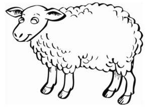 Disegno di pecora da stampare e colorare 39