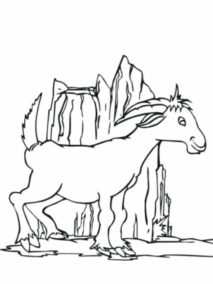 Disegno di capra da stampare e colorare 27