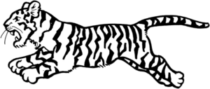 Disegno di tigre da stampare e colorare 24