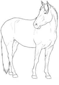 Disegno di cavallo da stampare e colorare 82