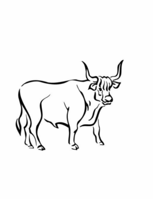 Disegno di toro da stampare e colorare 33