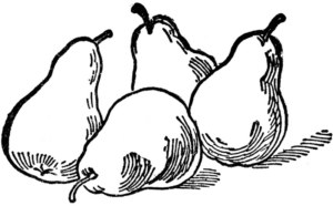 Disegno di pera da stampare e colorare 9