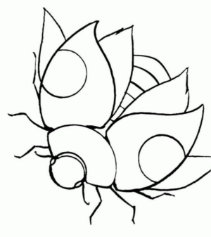 Disegno di coccinella da stampare e colorare 55