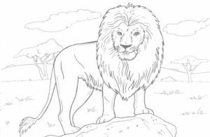 Disegno di leone da stampare e colorare 107
