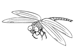 Disegno di libellula da stampare e colorare 25