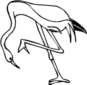 Disegno di fenicottero da stampare e colorare 32