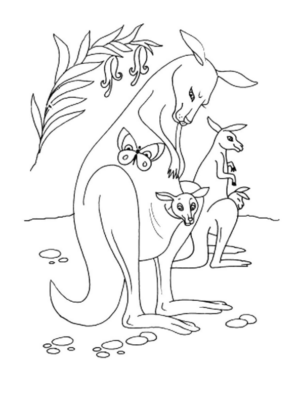 Disegno di canguro da stampare e colorare 28