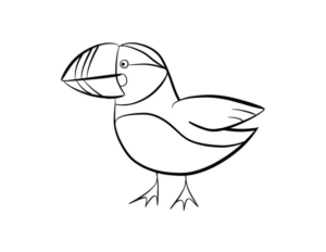 Disegno di pappagallo da stampare e colorare 116