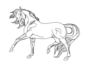 Disegno di cavallo da stampare e colorare 171