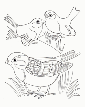 Disegno di uccello da stampare e colorare 112