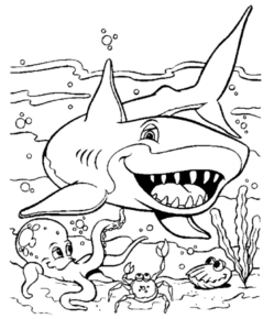 Disegno di squalo da stampare e colorare 22