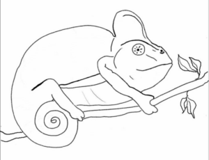 Disegno di camaleonte da stampare e colorare 18