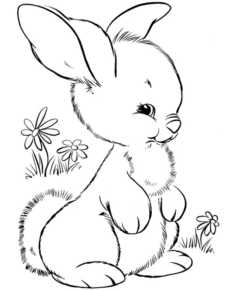 Disegno di coniglio da stampare e colorare 59