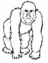 Disegni di Scimmie da colorare
