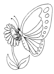Disegno di farfalla da stampare e colorare 127
